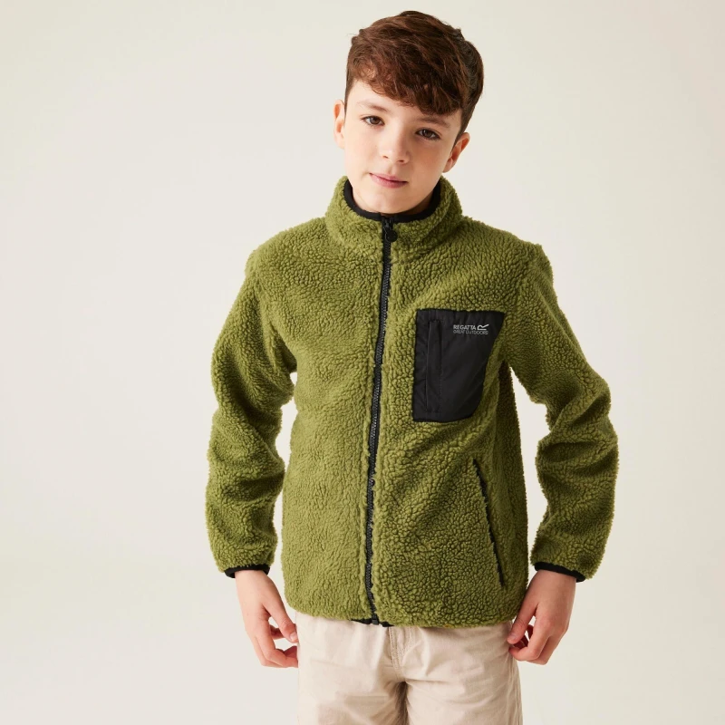 Image of Regatta Frankie' Full Zip Fleece Green