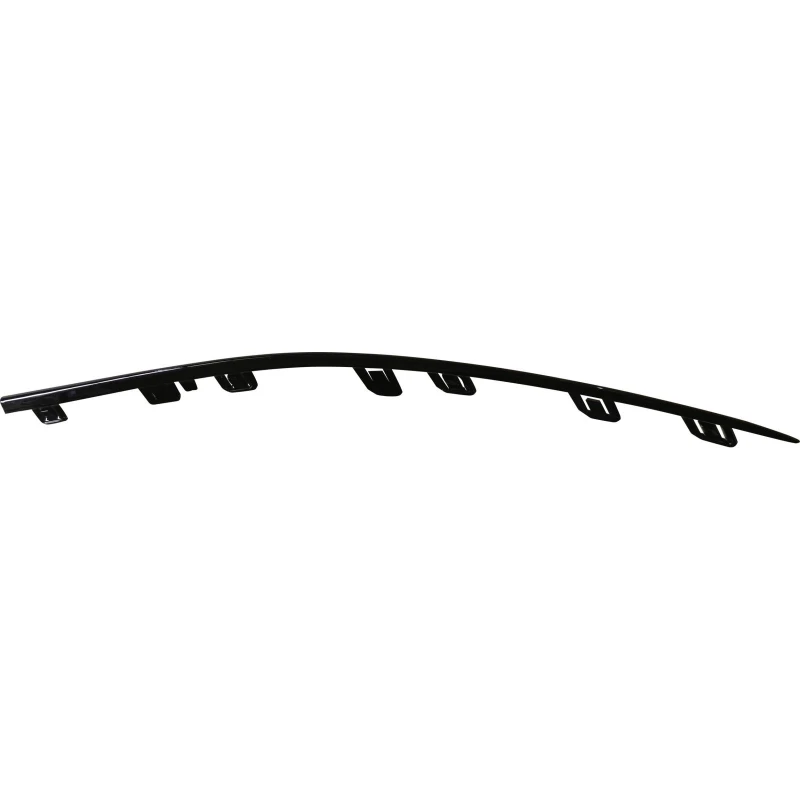 Image of Bumper moulding DIEDERICHS 1674360