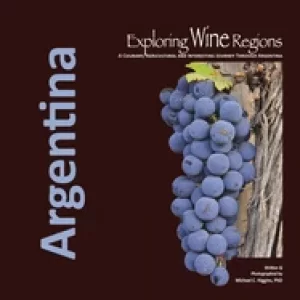 Image of exploring wine regions argentina
