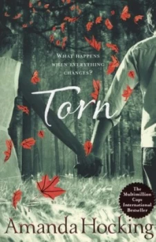 Image of Torn by Amanda Hocking Paperback