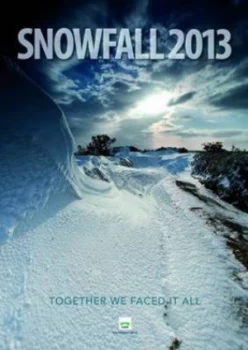 Image of Snowfall 2013 by Trevor Barrett Paperback
