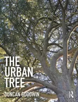 Image of The Urban Tree