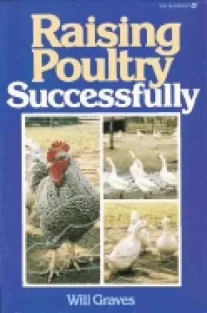Image of raising poultry successfully