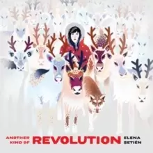 Image of Another Kind of Revolution