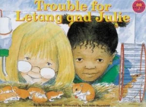 Image of Trouble for Letang and Julie by Beverley Naidoo Paperback