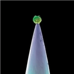 Image of Peter Gabriel New Blood CD