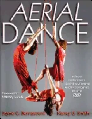 Image of aerial dance