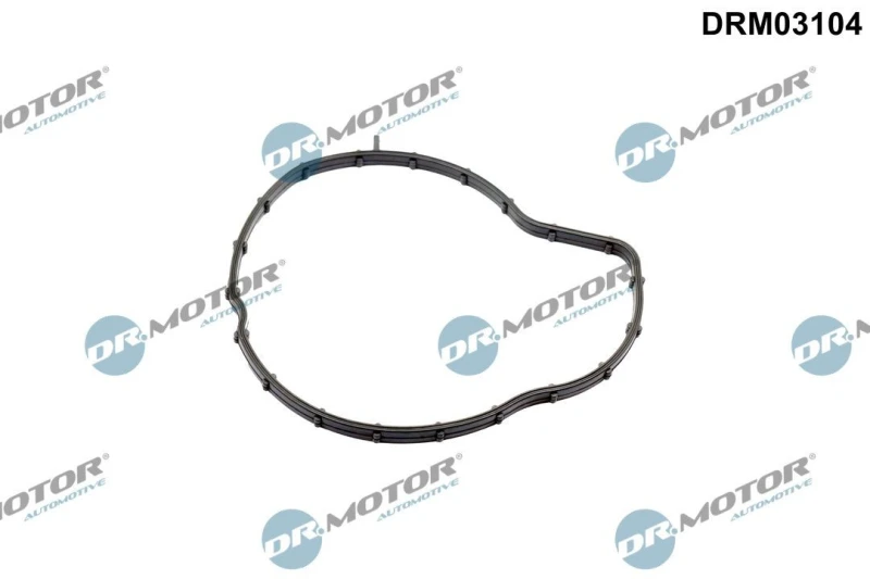 Image of DR.MOTOR AUTOMOTIVE Gasket, water pump DR.MOTOR AUTOMOTIVE DRM03104