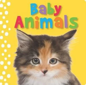 Image of Baby Animals by Sarah Phillips Hardback