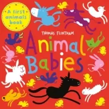 Image of Animal Babies