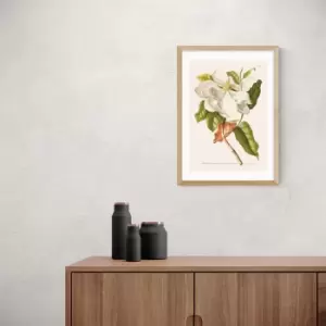 Image of East End Prints Magnolia Print MultiColoured