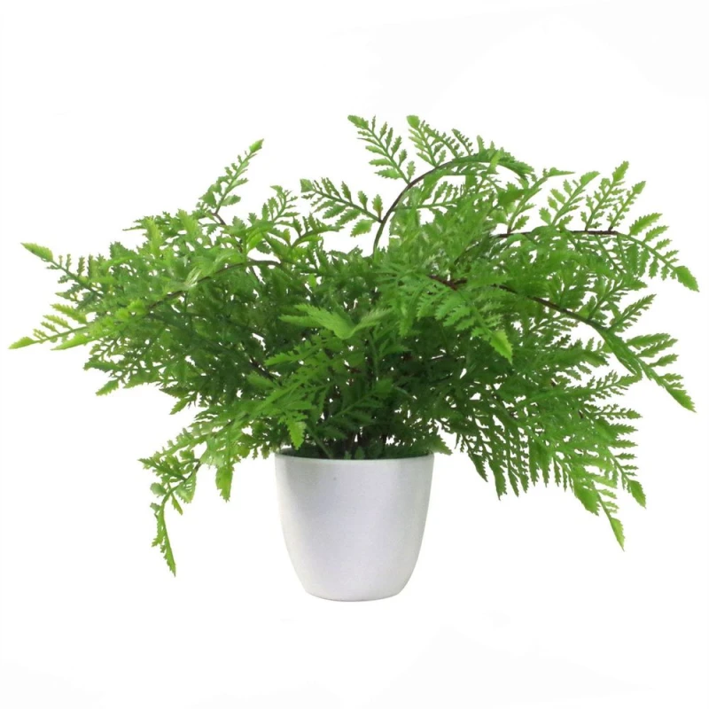Image of Leaf 30Cm Artificial Potted Southern Wood Fern, Green 7527-V4