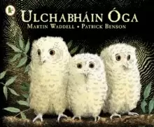 Image of Ulchabhain Oga (Owl Babies)