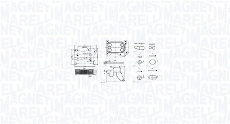 Image of MAGNETI MARELLI Engine oil cooler MAGNETI MARELLI 350300001300