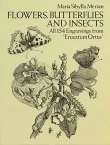 Image of Flowers, Butterflies and Insects