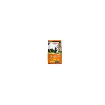 Image of Excel Adult Guinea Pig Nuggets with Mint - 2kg - 850588 - Burgess