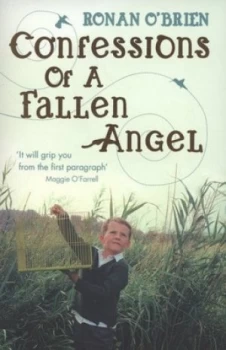 Image of Confessions of a Fallen Angel by Ronan Obrien Paperback