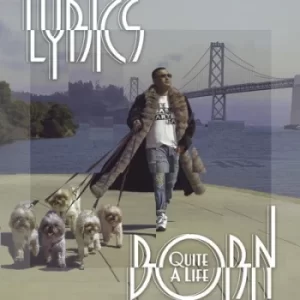 Image of Quite a Life by Lyrics Born Vinyl Album