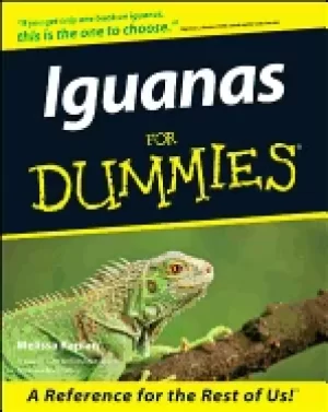 Image of iguanas for dummies