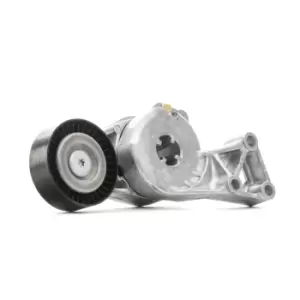 Image of INA Tensioner Lever, v-ribbed belt 533 0076 30 VW,AUDI,SKODA,Golf IV Schragheck (1J1),Golf V Schragheck (1K1),POLO (9N_),TOURAN (1T1, 1T2)