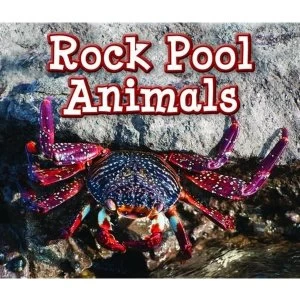 Image of Rock Pool Animals by Sian Smith (Paperback, 2015)