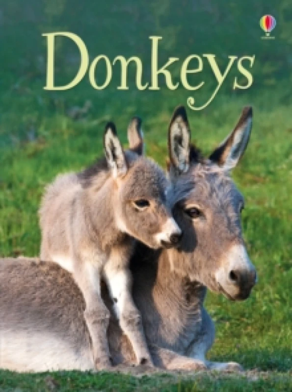 Image of James Maclaine Donkeys Book Multi unisex