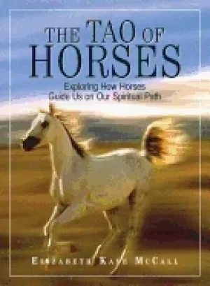 Image of tao of horses exploring how horses guide us on our spiritual path
