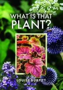 Image of What is that Plant?