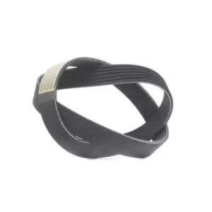 Image of RIDEX V-ribbed belt 305P0487 Serpentine belt,Auxiliary belt VW,OPEL,RENAULT,CRAFTER 30-50 Kasten (2E_),CRAFTER 30-35 Bus (2E_)