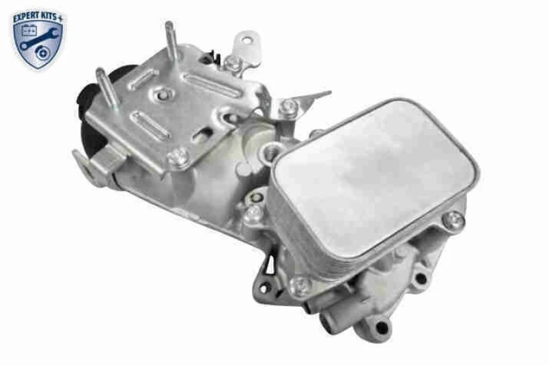 Image of Engine oil cooler VEMO V22-60-0056