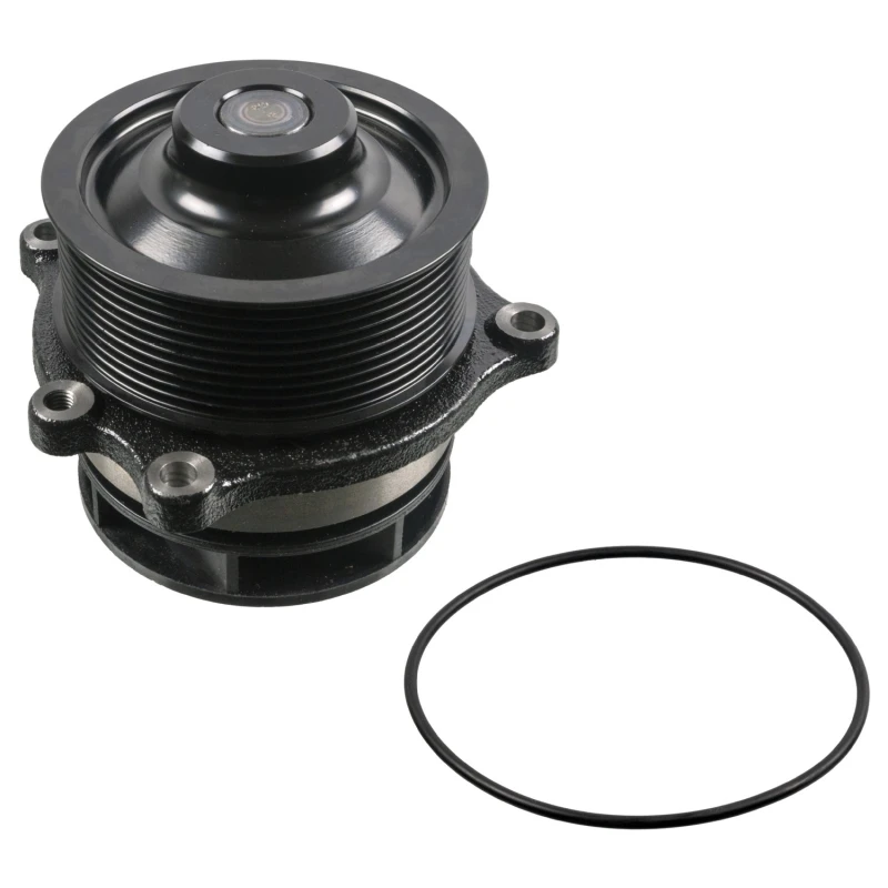 Image of FEBI BILSTEIN 39083 Water pump Grey Cast Iron, with belt pulley, with gaskets/seals Grey Cast Iron Water Pump (1260)