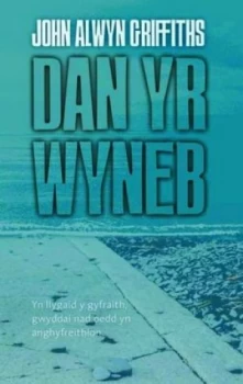 Image of Dan Yr Wyneb by John Alwyn Griffiths Paperback