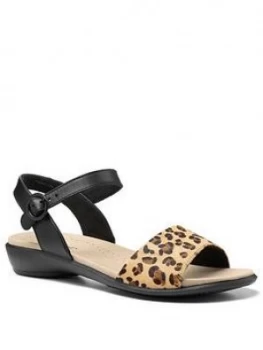 image of Hotter Tropic Ankle Strap Sandals - Black, Leopard, Size 3, Women