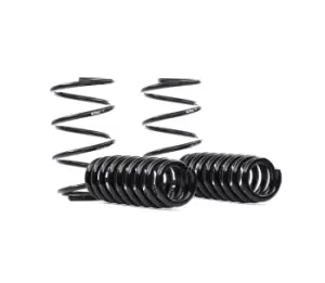 image of EIBACH Suspension Kit, coil springs BMW E10-20-013-02-22