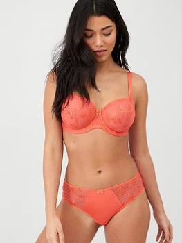 Panache Tango Brief - Tigerlilly, Tigerlilly, Size 16, Women