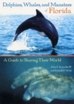 Image of Dolphins Whales and Manatees of Florida by John E. Reynolds Paperback