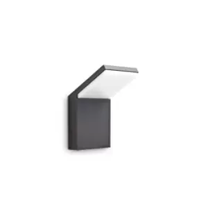 image of Style LED 1 Light Outdoor Wall Light Anthracite IP54