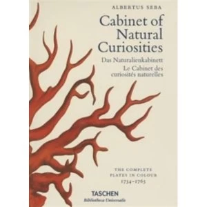 Image of Albertus Seba's Cabinet of Natural Curiosities by Jes Rust, Irmgard Musch, Rainer Willmann (Hardback, 2015)