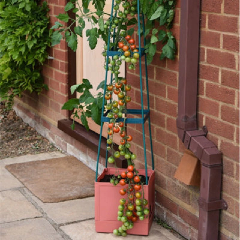 Image of Garden Gear Self Watering 4 Tier Tomato Tower Jumbo Fruit & Vegetable Vine Plant, Support Grower, 1.5M Weatherproof Tower Garden Planter (5)