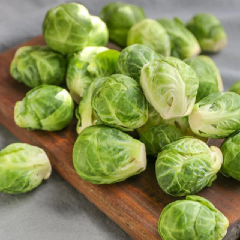 Image of Thompson & Morgan Brussels Sprout Long Island Seeds Hardy Semi-Dwarf Winter Variety Sweet Firm Sprouts. 1X Packet 200 Seeds.