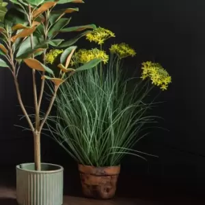 Image of Chafford Grass 5 Heads Yellow Yellow