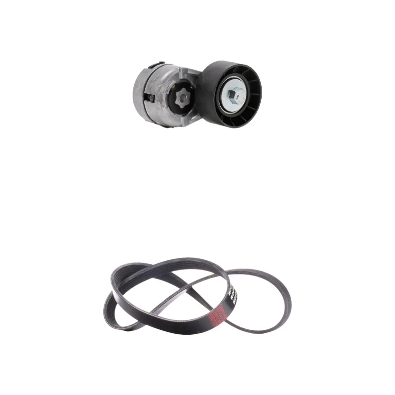 Image of RIDEX 542R1007 V-ribbed belt set V-Ribbed Belt Set (542)