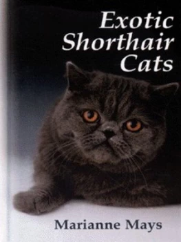 Image of Exotic Shorthair Cats by Marianne Mays Hardback