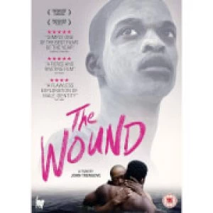 Image of The Wound