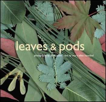 Image of Leaves & pods by Josie Iselin