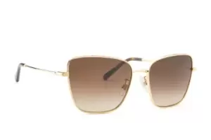 Dolce & Gabbana 0DG 2275 02/13 56