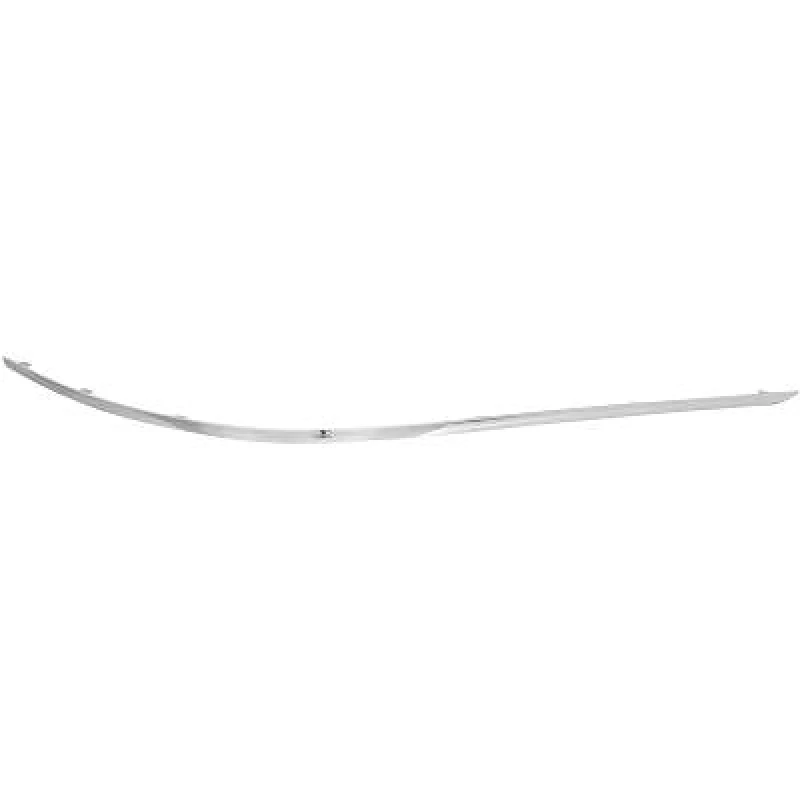 Image of Bumper moulding DIEDERICHS 1672169