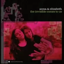 Image of The Invisible Comes to Us