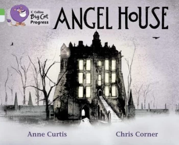 Image of Angel House by Anne Curtis Book