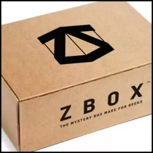 Image of Mystery Box Variant 1 - L